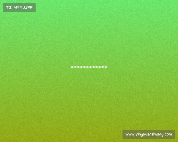 从揭幕战到决赛中超全部赛事每一场的荣耀与挑战深度解析