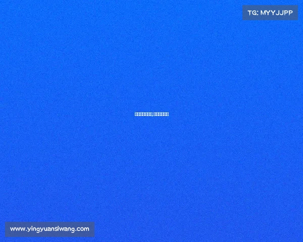 格斗赛事赞助商,举办格斗赛事