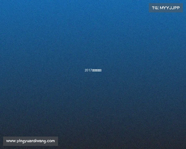 2017英超联赛录像